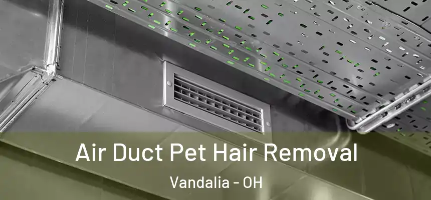 Air Duct Pet Hair Removal Vandalia - OH