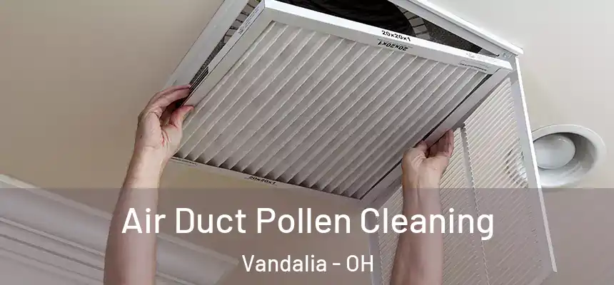 Air Duct Pollen Cleaning Vandalia - OH