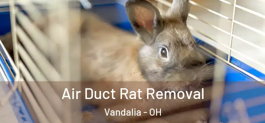  Air Duct Rat Removal Vandalia - OH