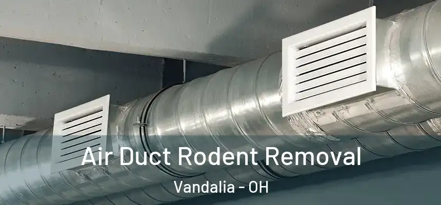 Air Duct Rodent Removal Vandalia - OH