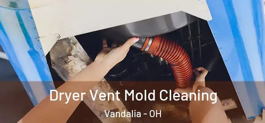 Dryer Vent Mold Cleaning Vandalia - OH