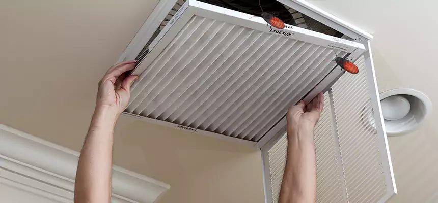 Preventive Cockroach-Proofing for Ducts in Vandalia