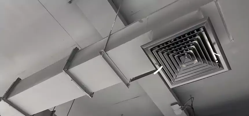 Our Rodent Droppings In Vents Services in Vandalia, OH