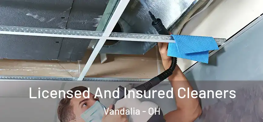  Licensed And Insured Cleaners Vandalia - OH