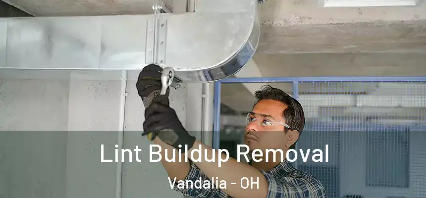 Lint Buildup Removal Vandalia - OH