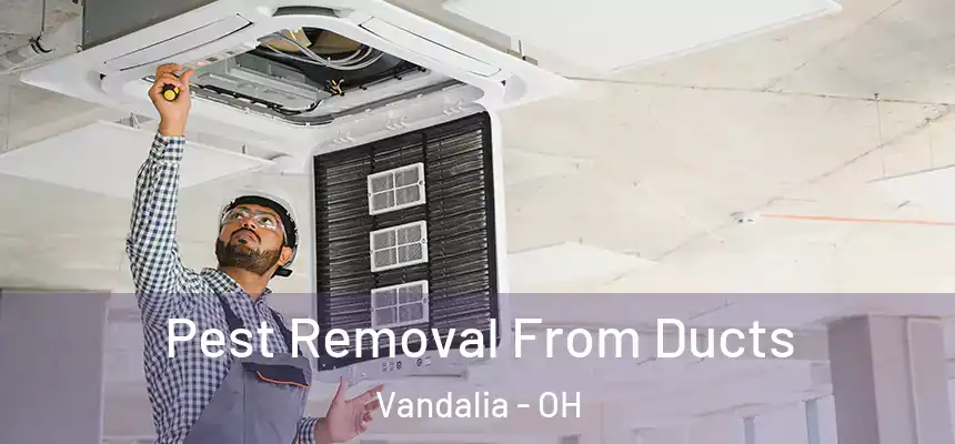  Pest Removal From Ducts Vandalia - OH