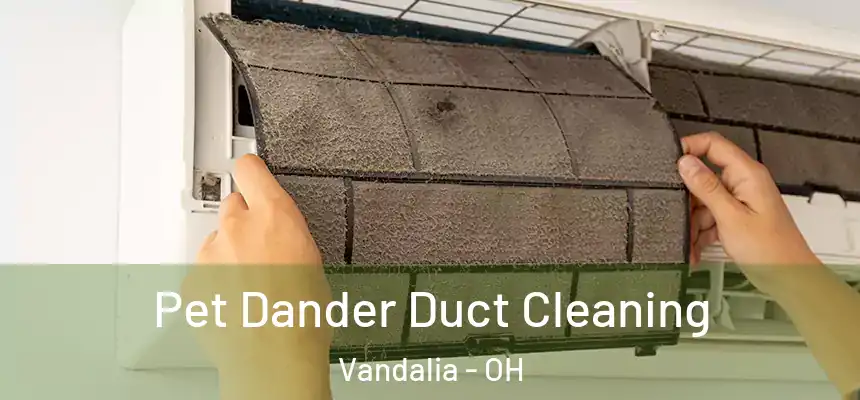 Pet Dander Duct Cleaning Vandalia - OH
