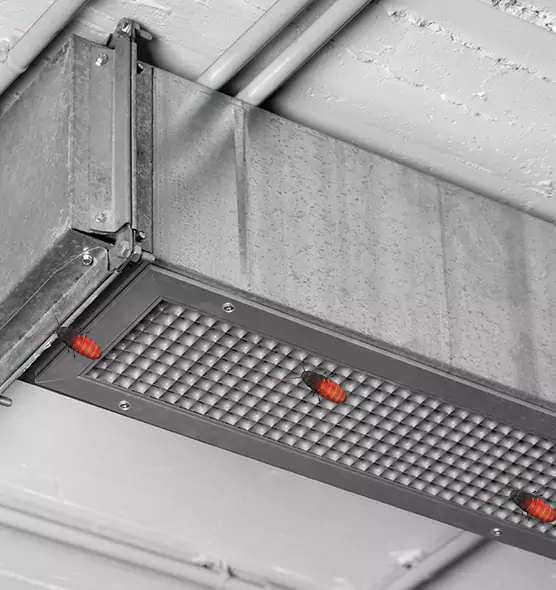 About Air Duct Cockroach Removal in Vandalia, OH