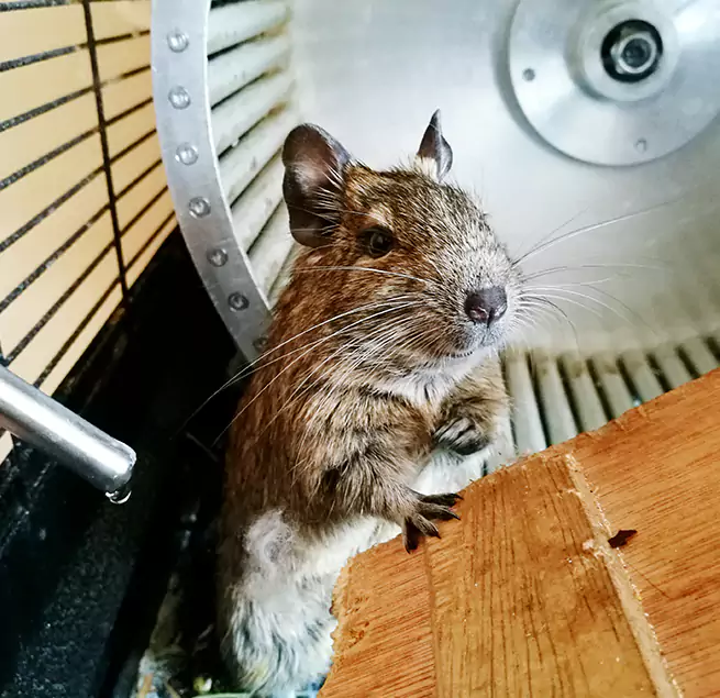 Why Homeowners & Businesses Trust Us Vandalia, OH?